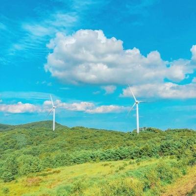 皇家画廊学院中文版下载