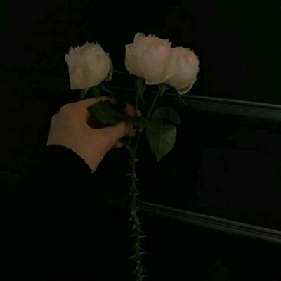 战国霸业手游bt版下载